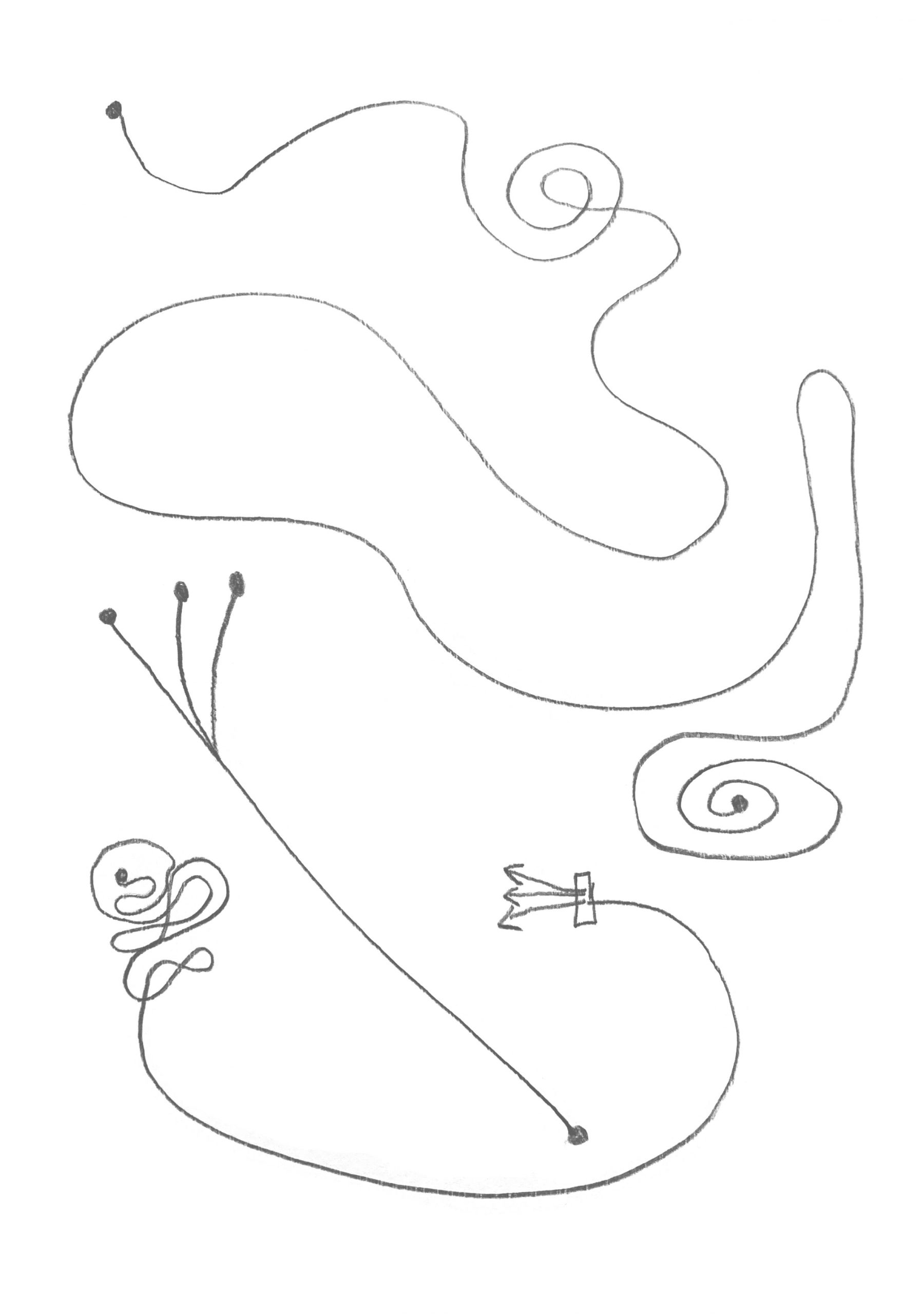 Ein weißes Blatt auf dem drei Bleistiftlinien gezogen sind. Zwei davon ziehen Schwünge und Kreise, die mittlere fast gerade. Die mittlere Linie beginnt an drei Punkten, die zu einer Linie zusammenlaufen, die untereste beginnt an einem Punkt und endet in drei seperaten Linien an deren Ende Pfeile gezeichnet sind.