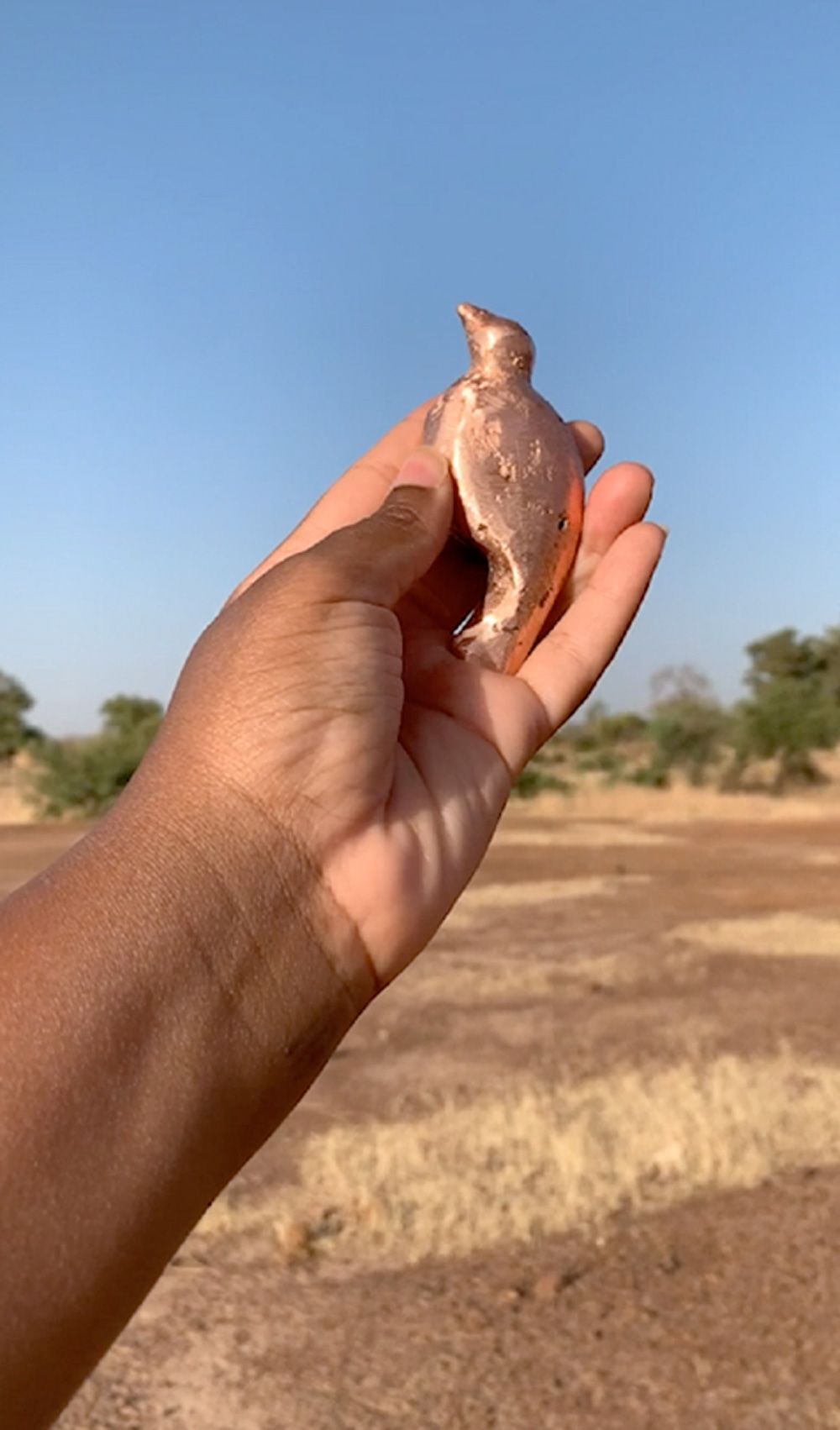 Rahima Gambo: Nest-works and wander-lines, 2021, Filmstill